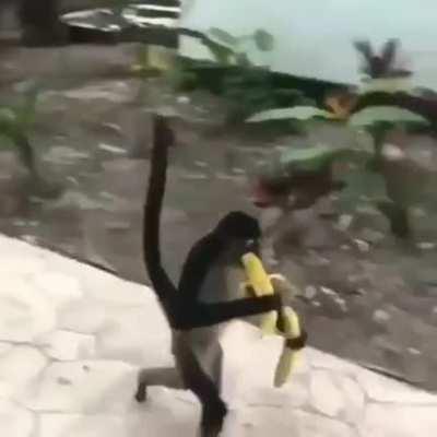 Macedonian Life style 😎🦧🦧😎🇲🇰🇲🇰😎