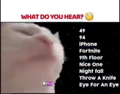 Banda este no es el foro pero me sentiría mal si no escucharan/leyeran esta maravilla, se llama efecto McGurk y básicamente es un fenómeno perceptivo que demuestra una interacción entre la audición y la visión en la percepción del habla