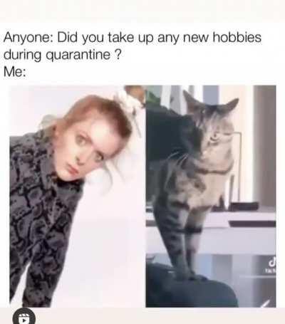 Physicat Training App