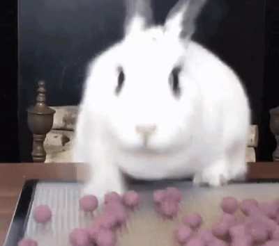 If project 2025 ever goes through I won't be able to live in this world anymore.