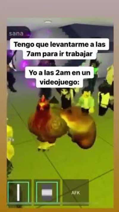 asi es todo el tiempo