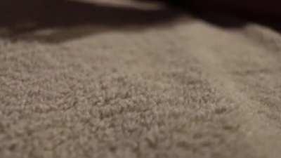 💕20% SALE 💕$3.99💕TOP 3.4% OF ALL CREATORS💕SUB NOW AND GET YOUR FREE WELCOME VIDEO💕LINK IS IN THE COMMENT