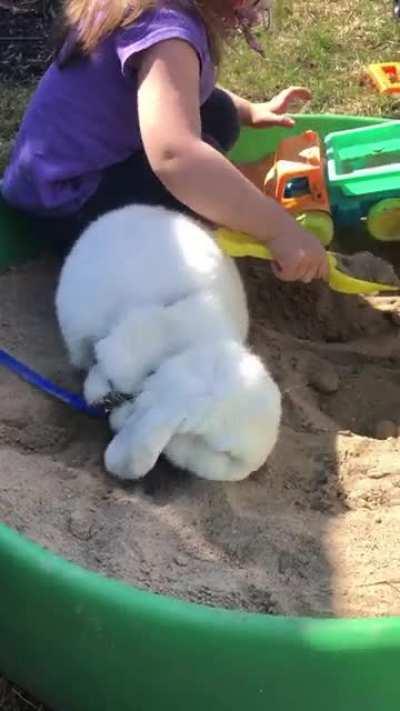 Playing in the sand
