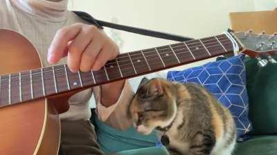 If I pay attention to anything other than Princess Opal...