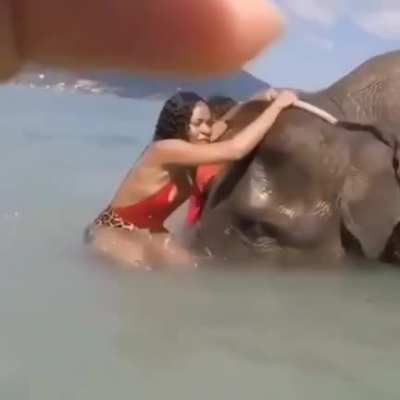 HMC while I climb an elephant