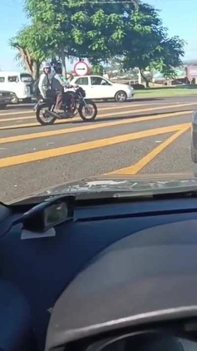 Bull runs over car in Brazil