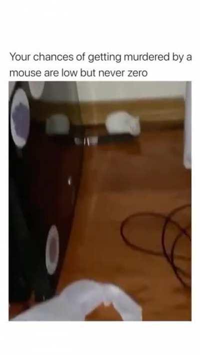Шансы быть убитым мышью низки. Но не нулевые.