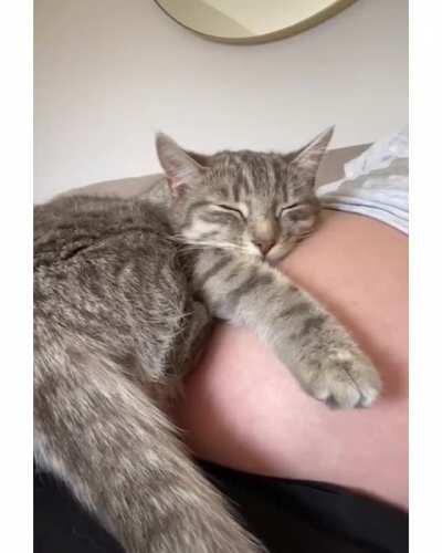 This video took 9 months to make