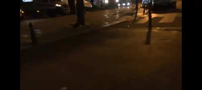 Yabancı basına dahi saldıran ahlaksız sarayın köpekleri