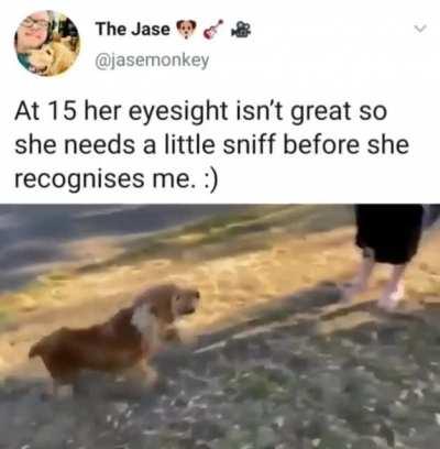 That's what pure happiness and joy looks like!!!