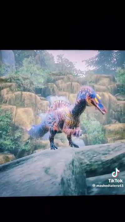 What I'm saying is that we don't REALLY know what their mating displays looked like