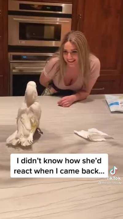 Spreading Birb Love: Day 28