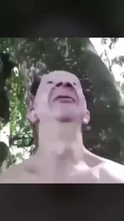 DEO when Bruce said he’s gonna stream tomorrow and ends up not streaming 💔