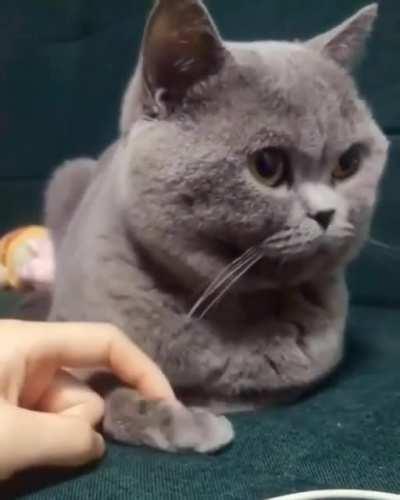 Tuck your finger right here please