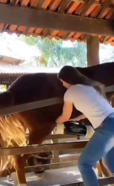 Girl: I grew up on a farm. Me: What am I supposed to do with that information?