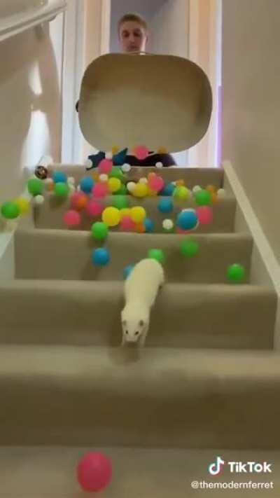 DeAf FeRrEt GeTs CrUsHeD uNdEr FaLlIng RoCkS!!!11!!