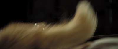 Laura Harring: Love In The Time of Cholera (2007)