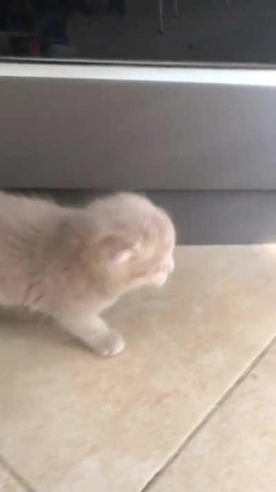 Helsinki exploring new home