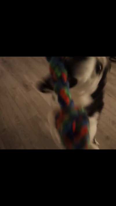 3 months——> 6 years