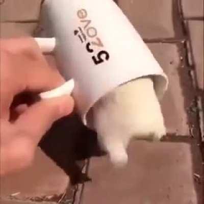 Ceiling Gang when they try to be Floor Gang