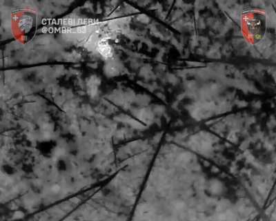 [28.11.2024] Ukrainian Mavic 3T drone drops shells on Russian soldiers who are using raincoats to camouflage themselves from thermal imaging. East of the village of Torske (Serebryansky Forest), Donetsk region. 63rd Mechanized Brigade