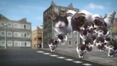 Blursed cat video . (Welcome to Kitty City by Cyriak)