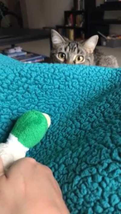 You can almost feel the loading bar in his brain fill up