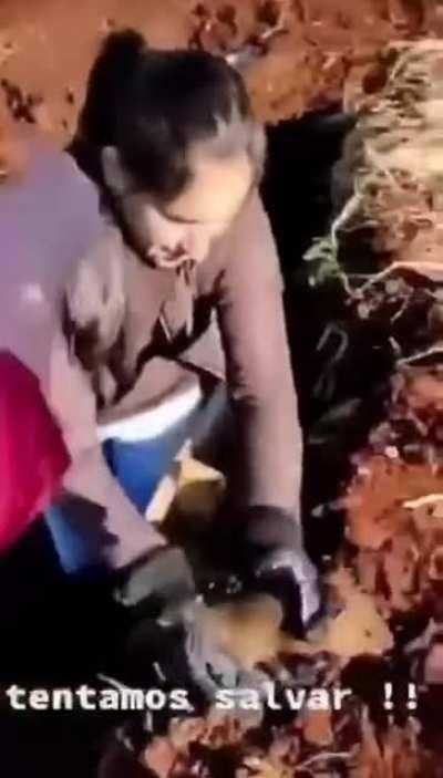 Wholesome moment ruined