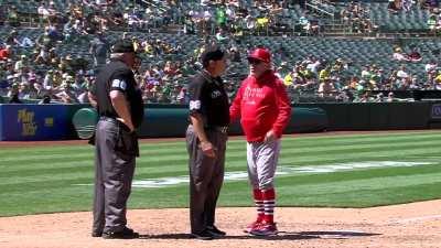 [Highlight] Joe Maddon gets his money's worth after being ejected.