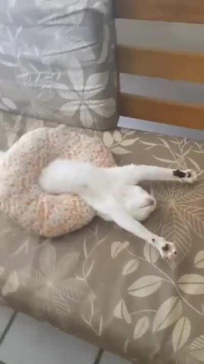 Who expects such a Saturday?