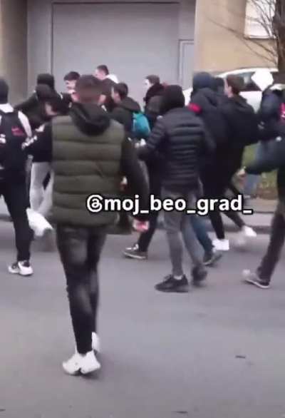 Kids beat up hooligans that tried to drive a car through protesters in Belgrade, Serbia