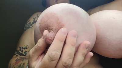 Play with these pregnant titties!