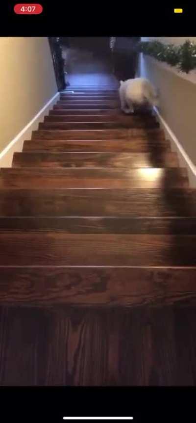 Wasn’t the smartest play call