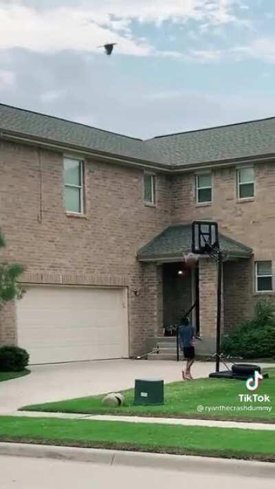 A New Mentor has Appeared!