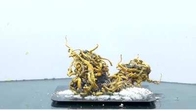 I see your magic string and raise you this eldritch abomination