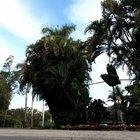 When you're riding your bike and the animation breaks