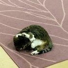 I was hoping Murphy would gain a few IQ points as he aged, but nah...