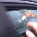 Dog locks car, strands owner outside, cows refuse to help.