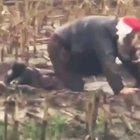 С Наступающим!