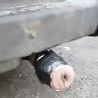 This Fleshlight on a muffler is the best thing I've seen all day