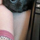 Having a hard time getting any work done.