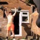 Dog pissing on camera