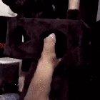 Not on my watch, buddy