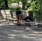 Girlfriend tries desperately to get Face ID from boyfriend