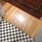 Foster, it’s a bug!