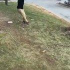 HMB- While I swing from this rope