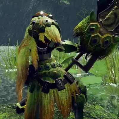 Tetranodon Equipments