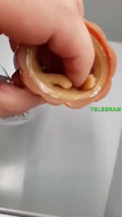 Thanks, I hate tree stump toy.