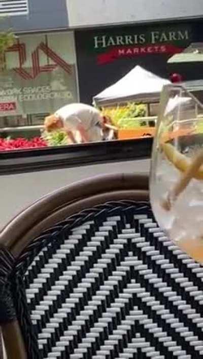 She went in like a champ