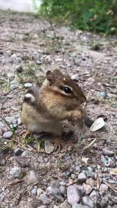 This really really disturbed me 🙂